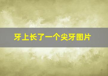 牙上长了一个尖牙图片