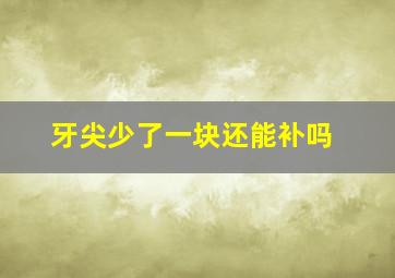 牙尖少了一块还能补吗