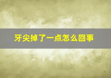 牙尖掉了一点怎么回事