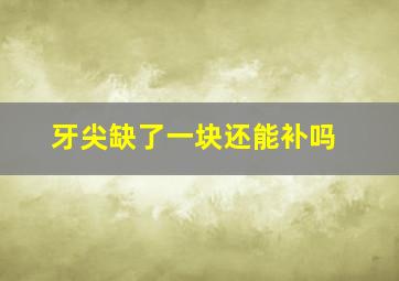 牙尖缺了一块还能补吗