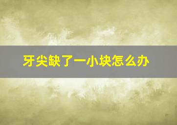 牙尖缺了一小块怎么办