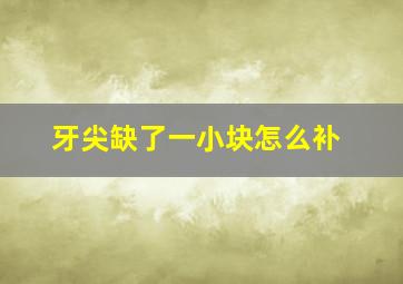 牙尖缺了一小块怎么补