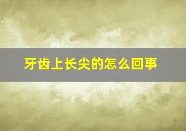 牙齿上长尖的怎么回事