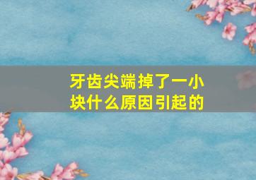 牙齿尖端掉了一小块什么原因引起的