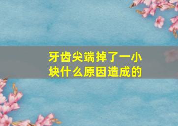 牙齿尖端掉了一小块什么原因造成的