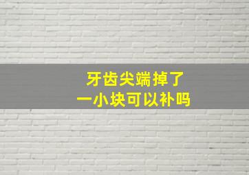 牙齿尖端掉了一小块可以补吗