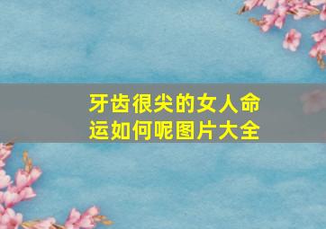 牙齿很尖的女人命运如何呢图片大全