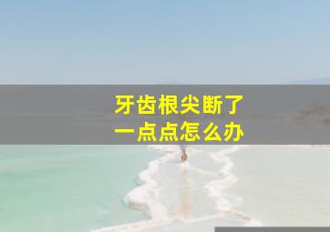 牙齿根尖断了一点点怎么办