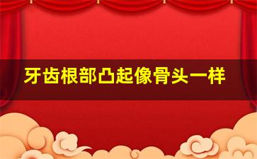 牙齿根部凸起像骨头一样