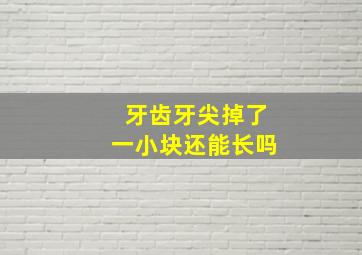 牙齿牙尖掉了一小块还能长吗