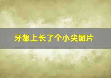 牙龈上长了个小尖图片