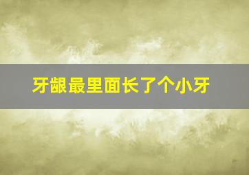 牙龈最里面长了个小牙