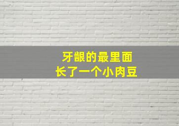 牙龈的最里面长了一个小肉豆