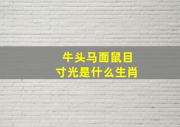 牛头马面鼠目寸光是什么生肖