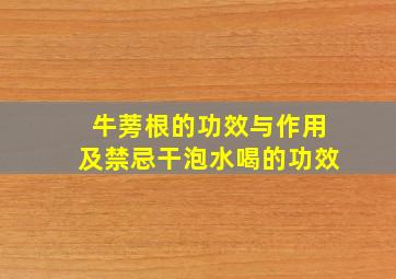 牛蒡根的功效与作用及禁忌干泡水喝的功效