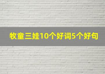 牧童三娃10个好词5个好句