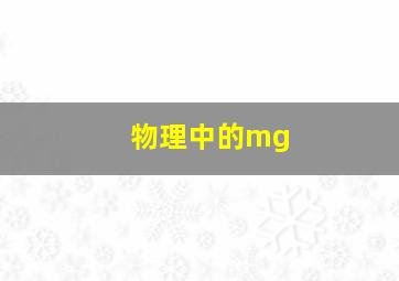 物理中的mg