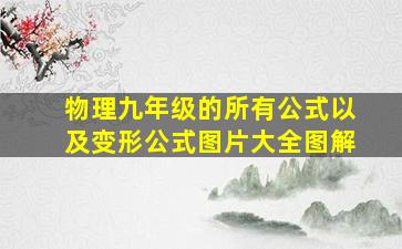 物理九年级的所有公式以及变形公式图片大全图解