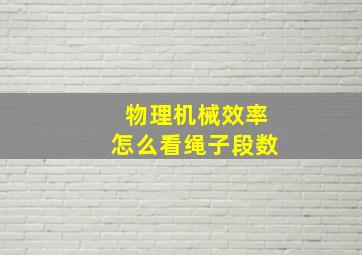 物理机械效率怎么看绳子段数