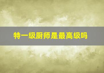 特一级厨师是最高级吗