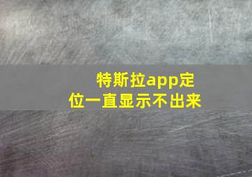 特斯拉app定位一直显示不出来