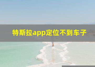 特斯拉app定位不到车子