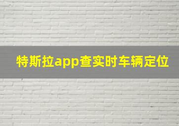 特斯拉app查实时车辆定位