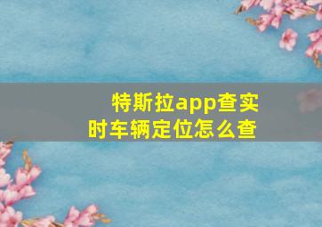 特斯拉app查实时车辆定位怎么查