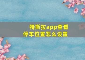 特斯拉app查看停车位置怎么设置