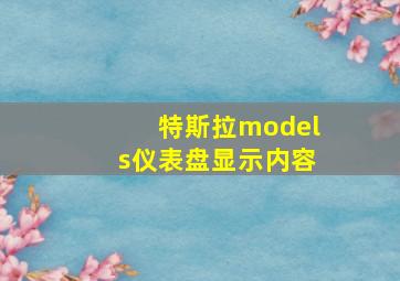 特斯拉models仪表盘显示内容