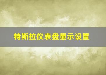 特斯拉仪表盘显示设置