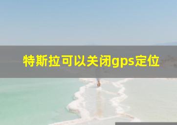 特斯拉可以关闭gps定位