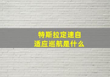 特斯拉定速自适应巡航是什么