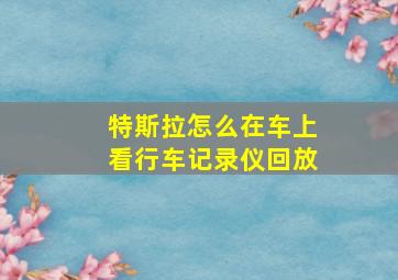 特斯拉怎么在车上看行车记录仪回放