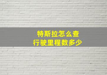 特斯拉怎么查行驶里程数多少