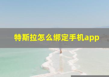 特斯拉怎么绑定手机app