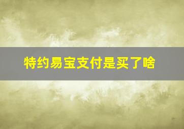 特约易宝支付是买了啥