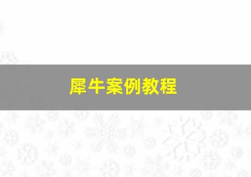 犀牛案例教程