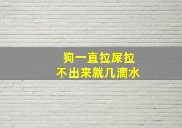 狗一直拉屎拉不出来就几滴水