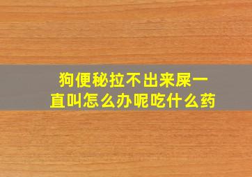 狗便秘拉不出来屎一直叫怎么办呢吃什么药