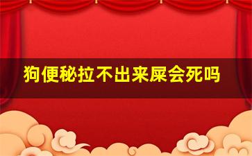 狗便秘拉不出来屎会死吗