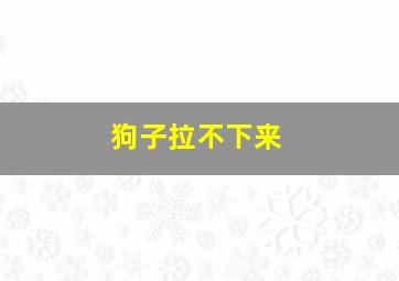 狗子拉不下来