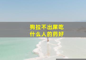 狗拉不出屎吃什么人的药好