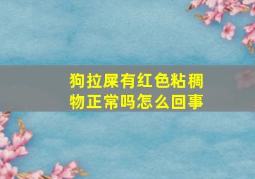 狗拉屎有红色粘稠物正常吗怎么回事