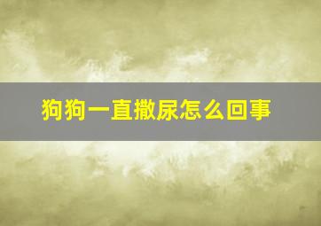 狗狗一直撒尿怎么回事