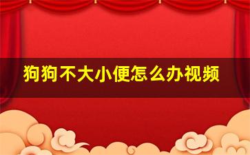 狗狗不大小便怎么办视频