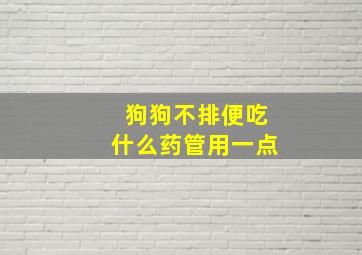 狗狗不排便吃什么药管用一点