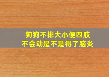 狗狗不排大小便四肢不会动是不是得了脑炎