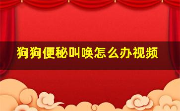 狗狗便秘叫唤怎么办视频