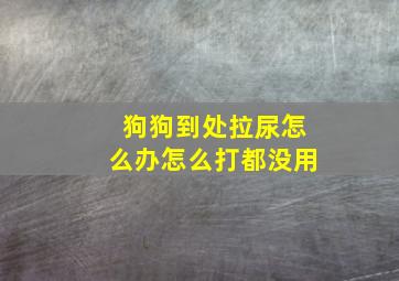 狗狗到处拉尿怎么办怎么打都没用